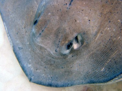 100_1281.JPG