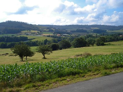 g6/45/52545/3/84921726.bULKDJ5P.jpg