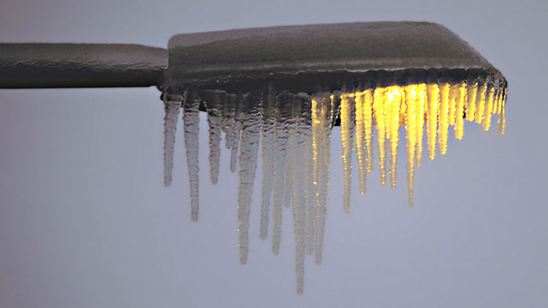 Pierre Joly PHOTOGRAPHE FocusNature