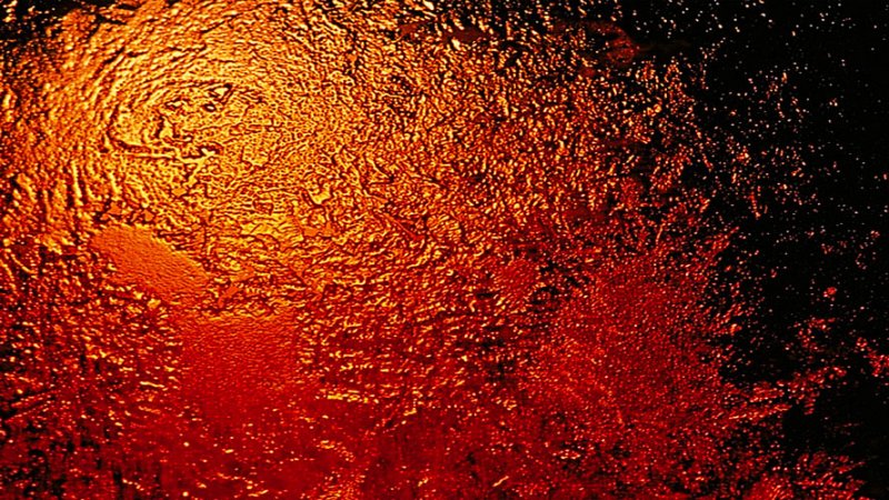 Pierre Joly PHOTOGRAPHE FocusNature