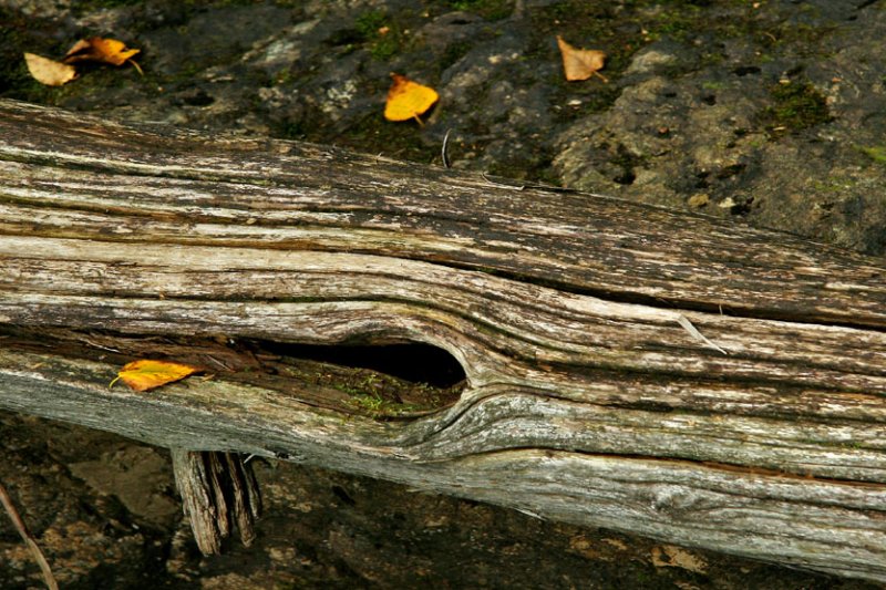 SENTIER DES MARMITES