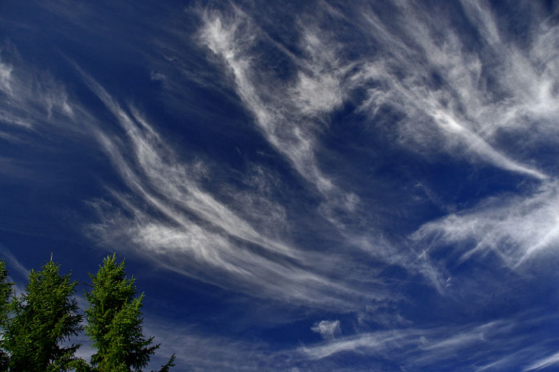 CIEL ! COMME CEST SOYEUX