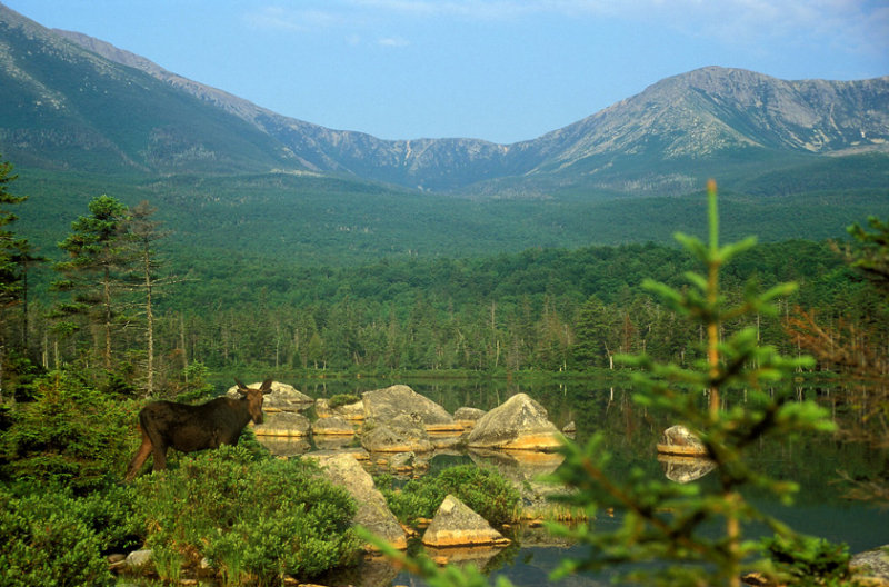 KATAHDIN / BAXTER / MAINE