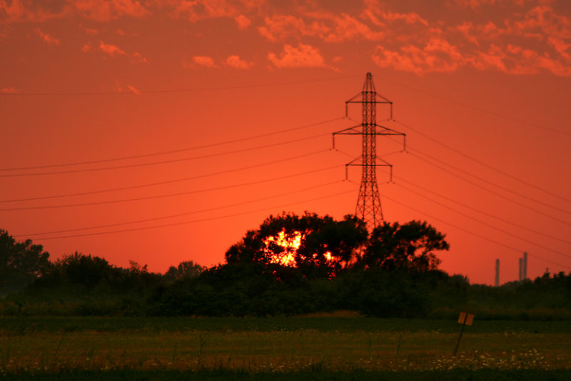 Pierre Joly PHOTOGRAPHE FocusNature