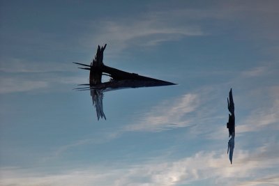 Pierre Joly PHOTOGRAPHE FocusNature