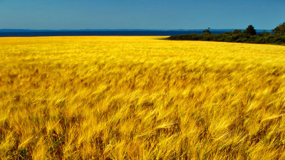 Pierre Joly PHOTOGRAPHE FocusNature