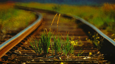 g6/45/527445/3/76987464.n1BeAkFA.jpg