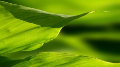 Pierre Joly PHOTOGRAPHE FocusNature