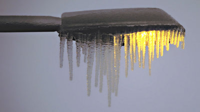 Pierre Joly PHOTOGRAPHE FocusNature