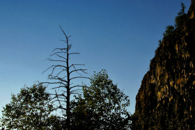 MONT CHAUDRON  /  COLLINE CHEMINIS