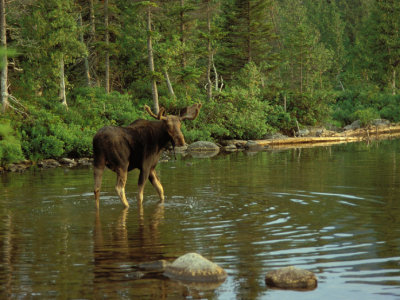 KATAHDIN / BAXTER / MAINE