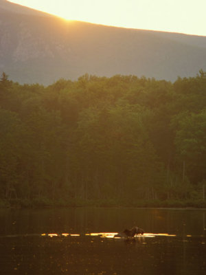 KATAHDIN / BAXTER / MAINE