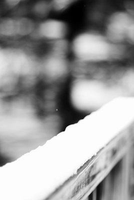 DSC_8285ss.jpg