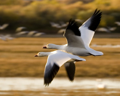 PICT2212A1.jpg