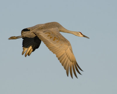 PICT2006A2.jpg
