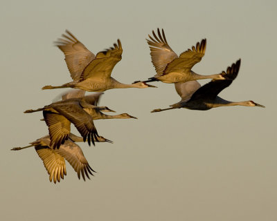 PICT2024A2.jpg