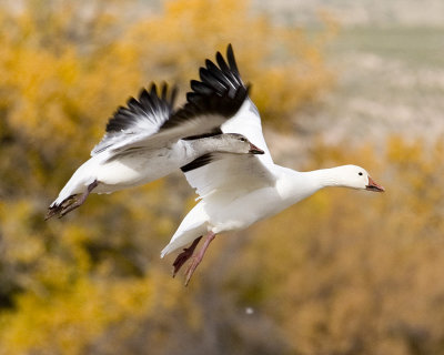 PICT2410A5.jpg