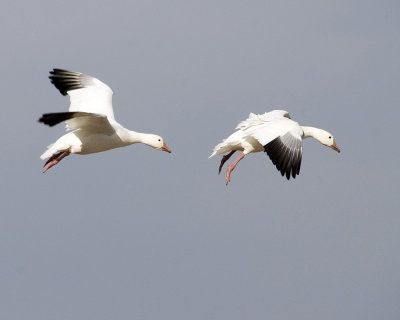 PICT2428A5.jpg
