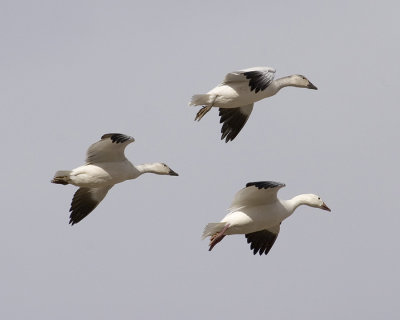 PICT2473B5.jpg