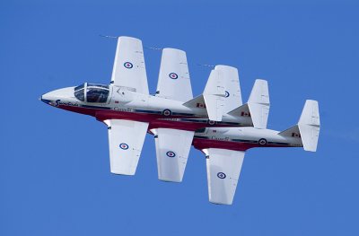 Snowbirds 2006