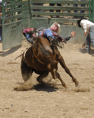 Bareback 12.jpg