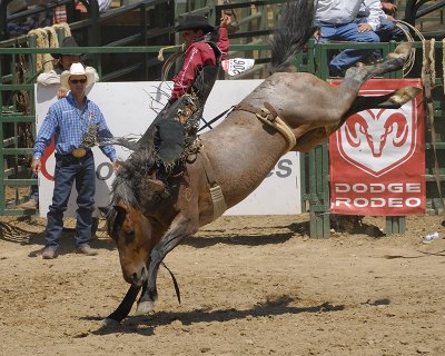 Bareback 26.jpg