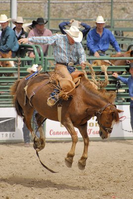 Saddle bronc 6.jpg