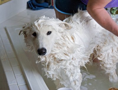 Oh No! Bath Time