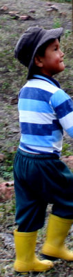 14a.jpg