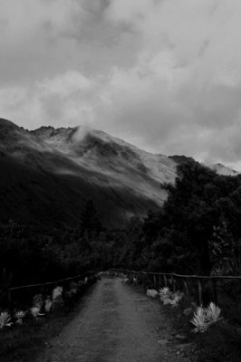 a8.jpg