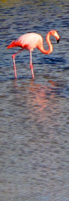 20a.jpg