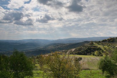 IMG_8769.jpg