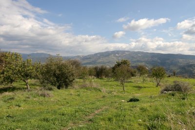 IMG_8771.jpg