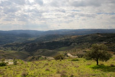 IMG_8781.jpg