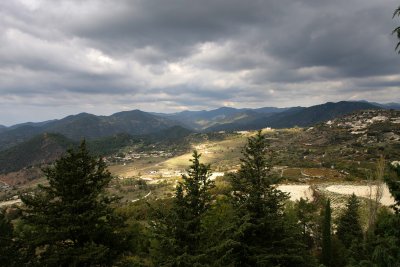 IMG_8806.jpg