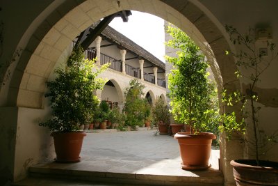 IMG_8818.jpg