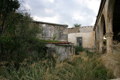IMG_8822.jpg