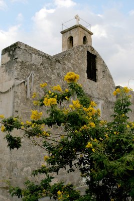IMG_8830.jpg