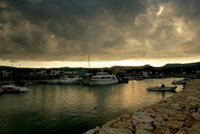 IMG_8840.jpg