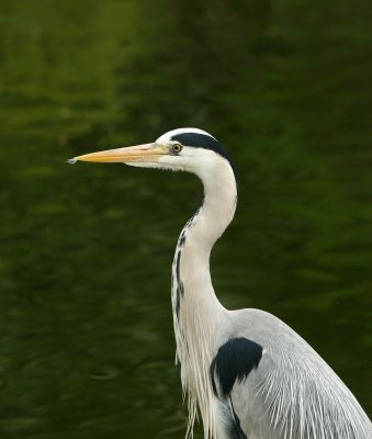 IMG_6175.jpg