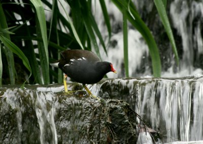IMG_6090.jpg