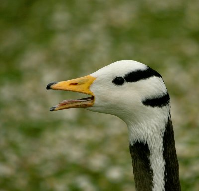 IMG_6146.jpg