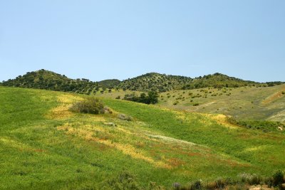 Ubrique, Jerez, Ronda and El Torcal, Antequera 