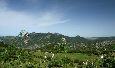 Ubrique, Jerez, Ronda and El Torcal, Antequera 
