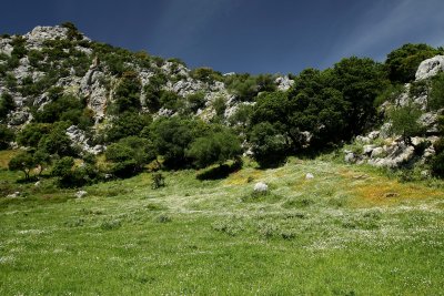 Ubrique, Jerez, Ronda and El Torcal, Antequera 