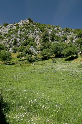 Ubrique, Jerez, Ronda and El Torcal, Antequera 