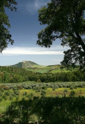 Ubrique, Jerez, Ronda and El Torcal, Antequera 