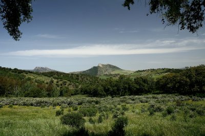 Ubrique, Jerez, Ronda and El Torcal, Antequera 