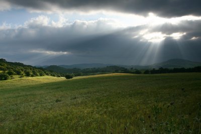 g6/45/621045/3/80092049.v23PzX2P.jpg