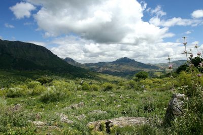 Ubrique, Jerez, Ronda and El Torcal, Antequera 